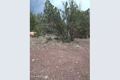 1827 Daggs Place #29, Show Low, AZ 85901 - Photo 2