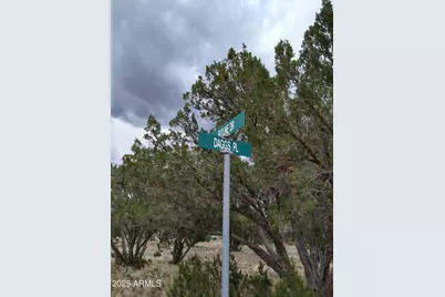 1827 Daggs Place #29, Show Low, AZ 85901 - Photo 1