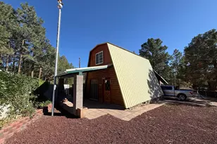 3331 Rim Lakes Dr, Overgaard, AZ 85933 - Photo 1