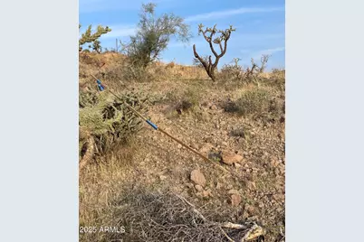 009 N Elephant Butte Road #F, Queen Valley, AZ 85118 - Photo 6