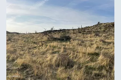 009 N Elephant Butte Road #J, Queen Valley, AZ 85118 - Photo 6