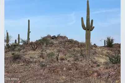 009 N Elephant Butte Road #J, Queen Valley, AZ 85118 - Photo 2
