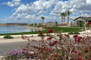 23162 E Canary Wy, Queen Creek, AZ 85142 - Photo 66