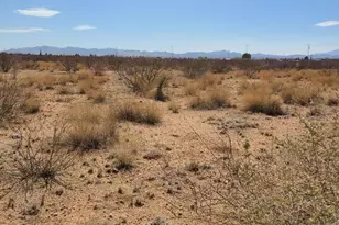 Xxxx Tbd 4th St, Douglas, AZ 85607 - Photo 1