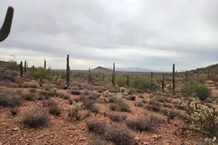 000 W Black Mountain Rd, Wittmann, AZ 85361 - Photo 1