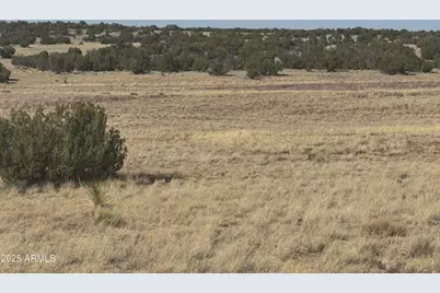 33 County Road N6211 -- #71, Saint Johns, AZ 85936 - Photo 8