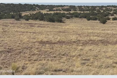 33 County Road N6211 -- #71, Saint Johns, AZ 85936 - Photo 6