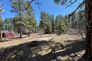 1335 Park Dr, Mormon Lake, AZ 86038 - Photo 20