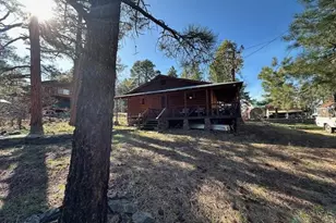1335 Park Dr, Mormon Lake, AZ 86038 - Photo 2