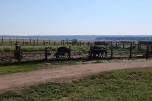 1335 Park Dr, Mormon Lake, AZ 86038 - Photo 32