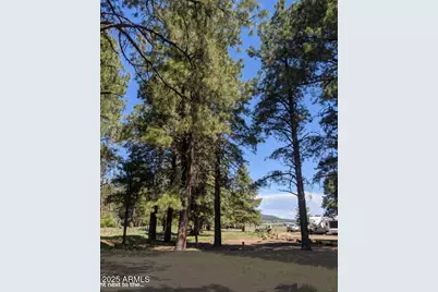 1335 Park Drive, Mormon Lake, AZ 86038 - Photo 28