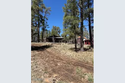 1335 Park Drive, Mormon Lake, AZ 86038 - Photo 16