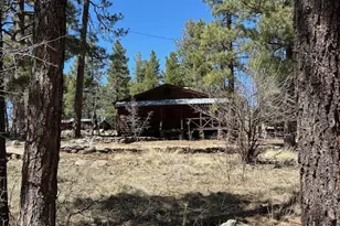 1335 Park Dr, Mormon Lake, AZ 86038 - Photo 18