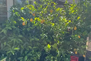 5363 N Black Cyn Hwy, Phoenix, AZ 85015 - Photo 26