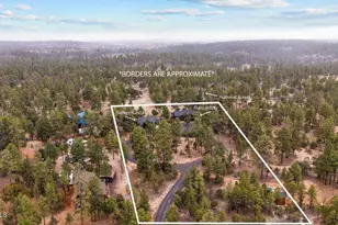 2702 Majestic Elk Rd, Overgaard, AZ 85933 - Photo 6