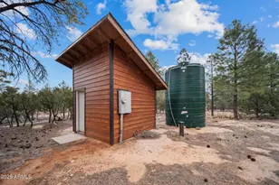 2702 Majestic Elk Rd, Overgaard, AZ 85933 - Photo 76