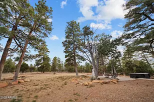 2702 Majestic Elk Rd, Overgaard, AZ 85933 - Photo 16