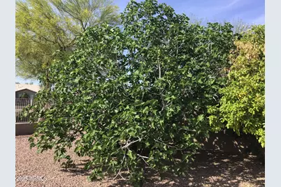 10956 W Cimarron Drive, Sun City, AZ 85373 - Photo 18