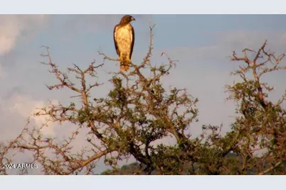E1 Lot 45 E De Vaca Lot 45 Road #45, Saint David, AZ 85630 - Photo 6