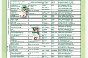 19812 N 90th Dr, Peoria, AZ 85382 - Photo 30