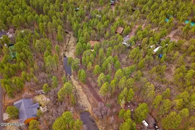 571 W Pine Shadow Drive, Lakeside, AZ 85929 - Photo 46