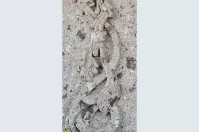 13811 S Canyon Drive, Phoenix, AZ 85048 - Photo 50