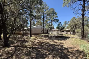 81 N 4th Dr, Show Low, AZ 85901 - Photo 1