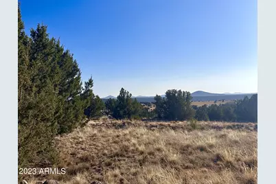 14 8249 County Road #038, Concho, AZ 85924 - Photo 1