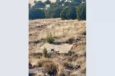 14 8249 County Road #038, Concho, AZ 85924 - Photo 2