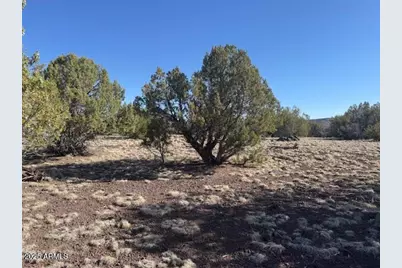 Lot 2 W Edgewood Drive, Williams, AZ 86046 - Photo 8
