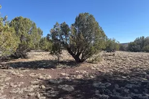 Lot 2 W Edgewood Dr, Williams, AZ 86046 - Photo 8