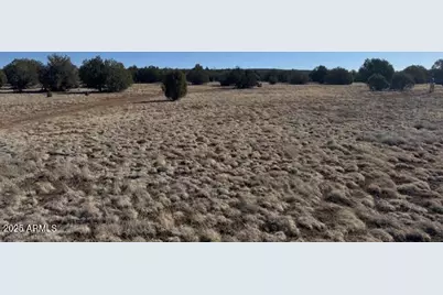411 W Edgewood Drive, Williams, AZ 86046 - Photo 12