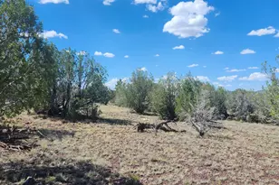 Lot 5 W Edgewood Dr, Williams, AZ 86046 - Photo 6