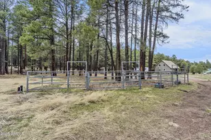 5348 Forest Service 701 Rd, Happy Jack, AZ 86024 - Photo 40