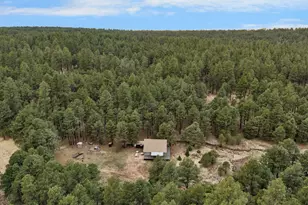 5348 Forest Service 701 Rd, Happy Jack, AZ 86024 - Photo 46