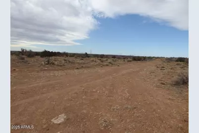 Lot 301 Chevelon Canyon Ranch -- #301, Heber, AZ 85928 - Photo 2