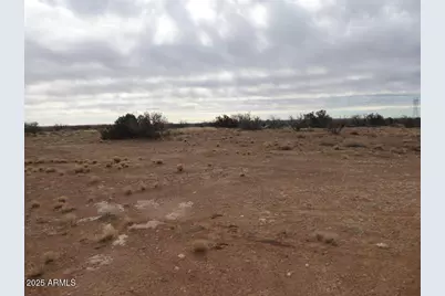 Lot 301 Chevelon Canyon Ranch -- #301, Heber, AZ 85928 - Photo 6