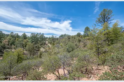 2501 E Feather Plume Court #635, Payson, AZ 85541 - Photo 8