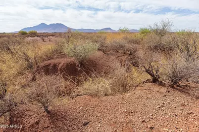 Tbd E Calle Gavilan -- #51, Hereford, AZ 85615 - Photo 22