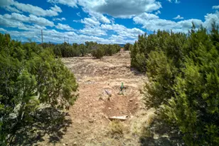 26 County Road 8006 Rd, Concho, AZ 85924 - Photo 26