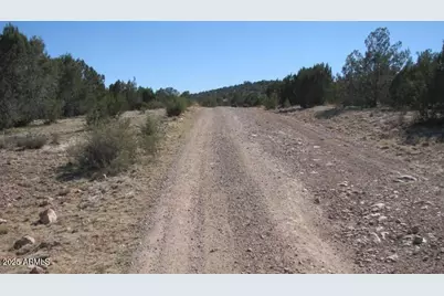 000 Via De Oro -- #1332, Seligman, AZ 86337 - Photo 10