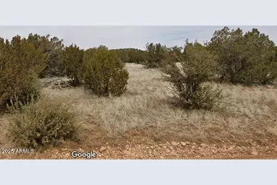 000 Via De Oro -- #1332, Seligman, AZ 86337 - Photo 2