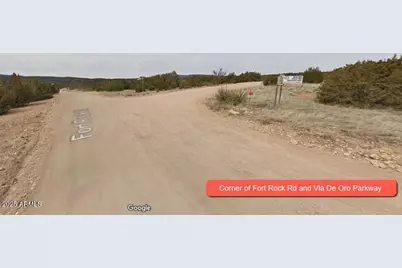 000 Via De Oro -- #1332, Seligman, AZ 86337 - Photo 6