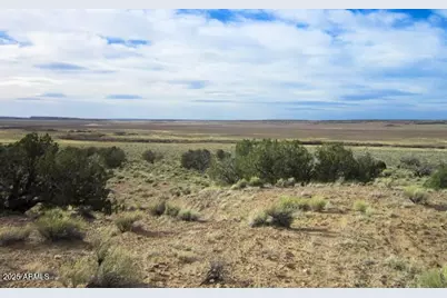 000 N6474 -- #216, Saint Johns, AZ 85936 - Photo 6