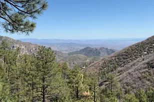 24930 S Horsethief Basin Rd, Crown King, AZ 86343 - Photo 46