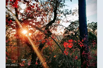 92 W Ralls Drive -- #92, Strawberry, AZ 85544 - Photo 1