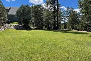 7816 W Forest Service Rd, Young, AZ 85554 - Photo 40