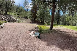 7816 W Forest Service Rd, Young, AZ 85554 - Photo 46