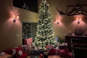 7816 W Forest Service Rd, Young, AZ 85554 - Photo 18