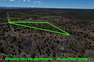 Tbd Co Rd 5062 Lot 1 3 53 Acres --, Concho, AZ 85924 - Photo 1